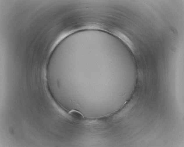 X0000115601428200911241545