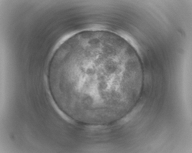 X0000115601429200911241545