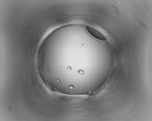 X0000115601430200911241545