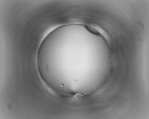 X0000115601431200911241545