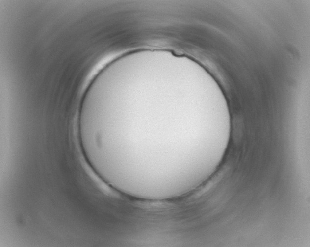 X0000115601432200911241545