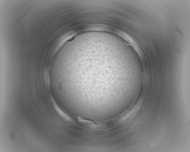 X0000115601433200911241545