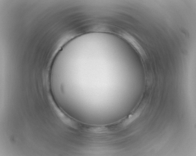 X0000115601434200911241546