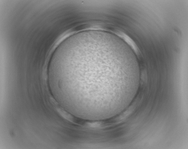 X0000115601435200911241546