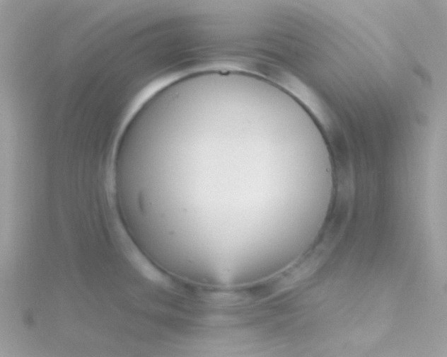 X0000115601436200911241546