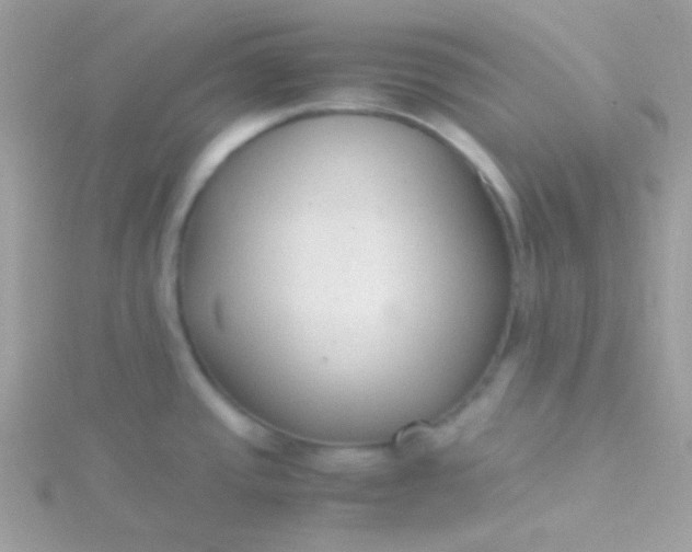 X0000115601437200911241546