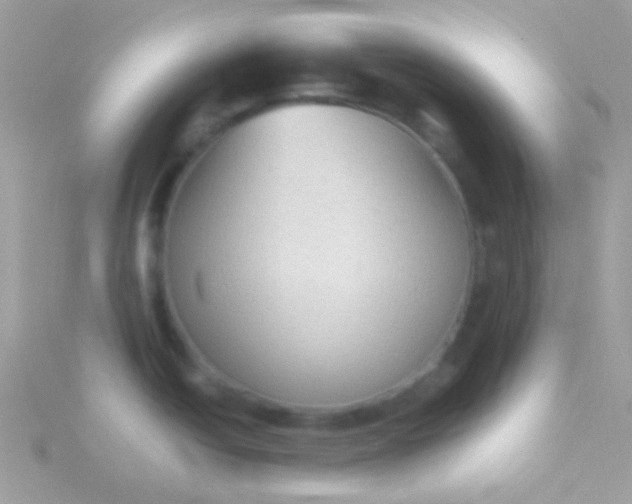 X0000115601438200911241546