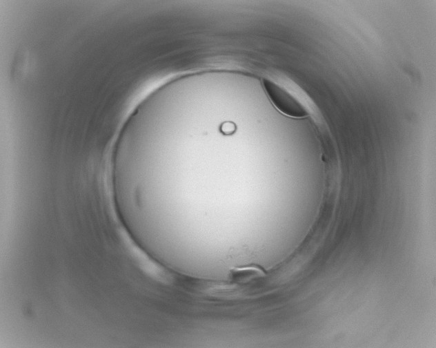 X0000115601439200911241546