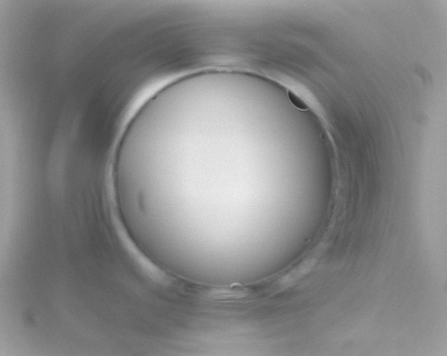 X0000115601440200911241546