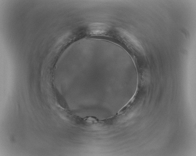 X0000115601441200911241545