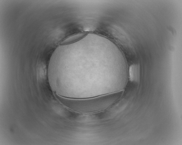 X0000115601443200911241545