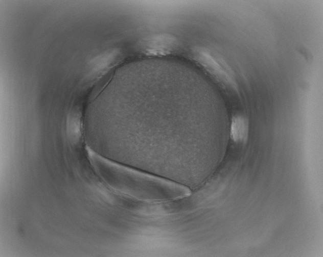 X0000115601444200911241545