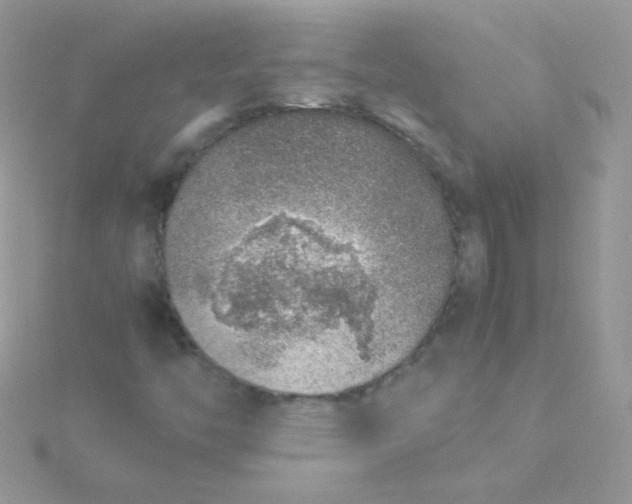 X0000115601446200911241545