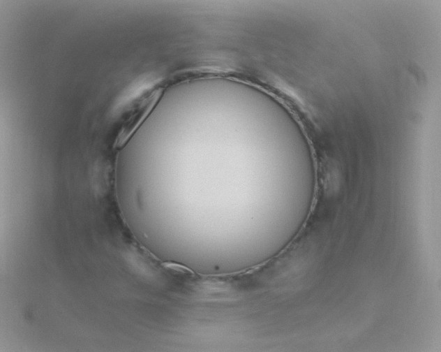 X0000115601448200911241545