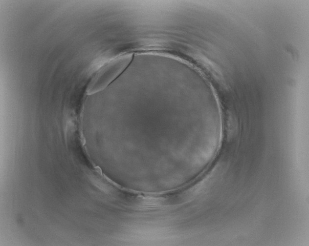 X0000115601449200911241545