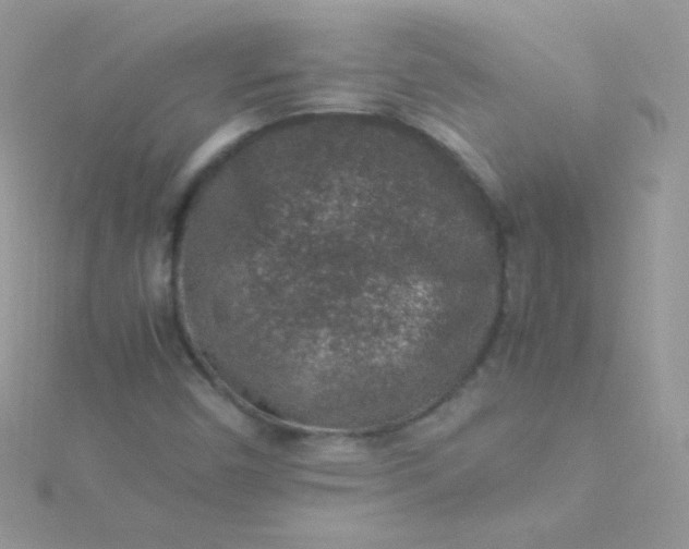 X0000115601450200911241545