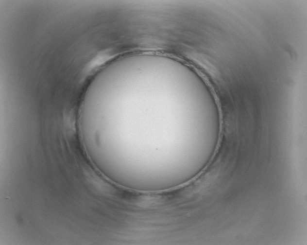 X0000115601451200911241545