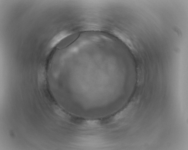 X0000115601453200911241545