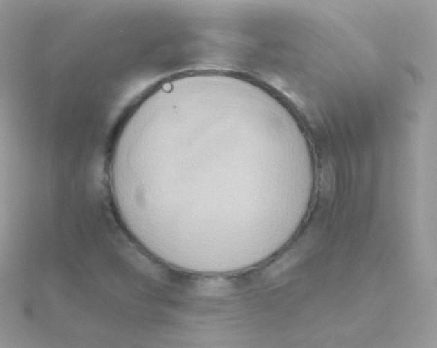 X0000115601454200911241545