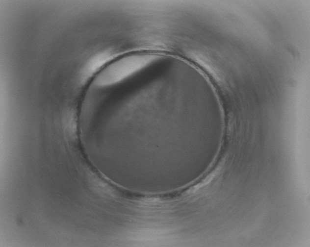 X0000115601455200911241545