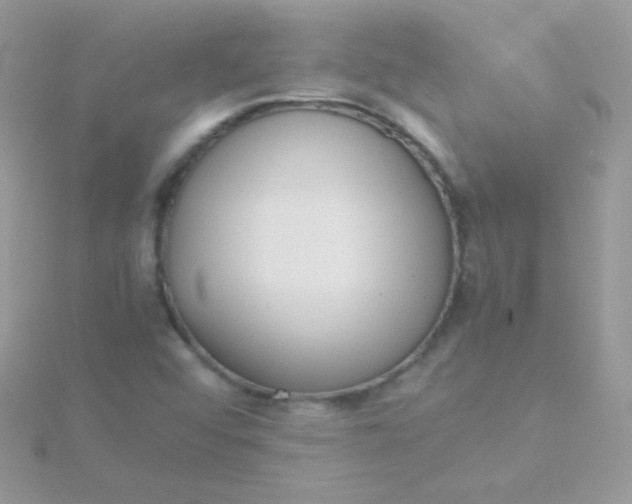 X0000115601456200911241545