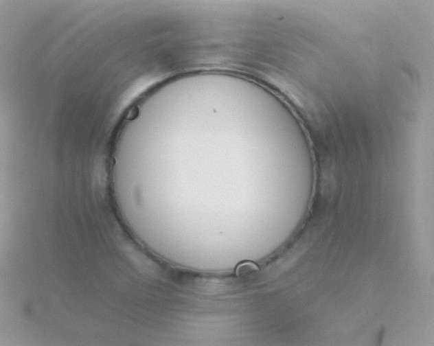 X0000115601458200911241545