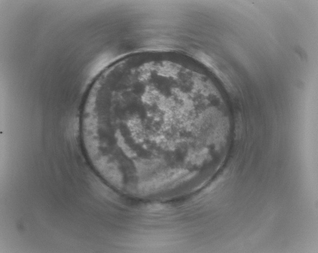 X0000115601459200911241545