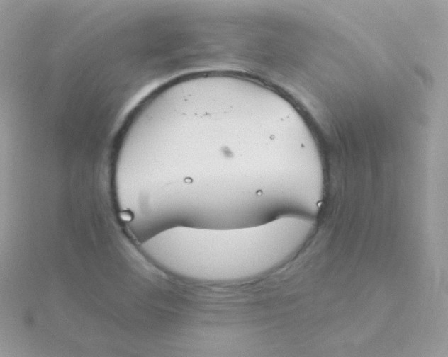 X0000115601460200911241545