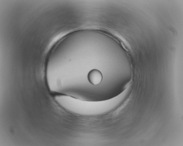 X0000115601461200911241545