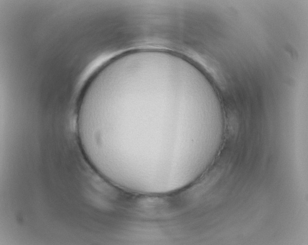 X0000115601462200911241545