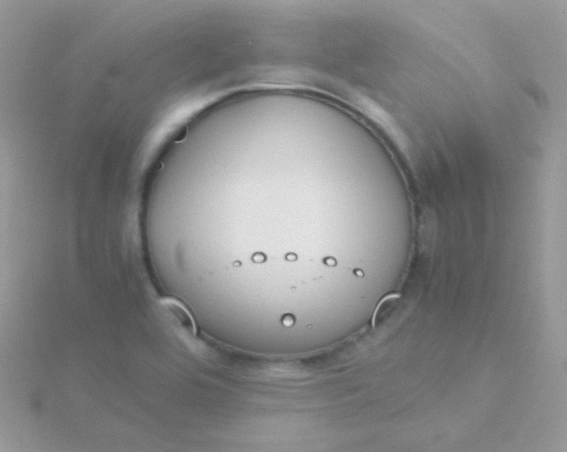 X0000115601464200911241545