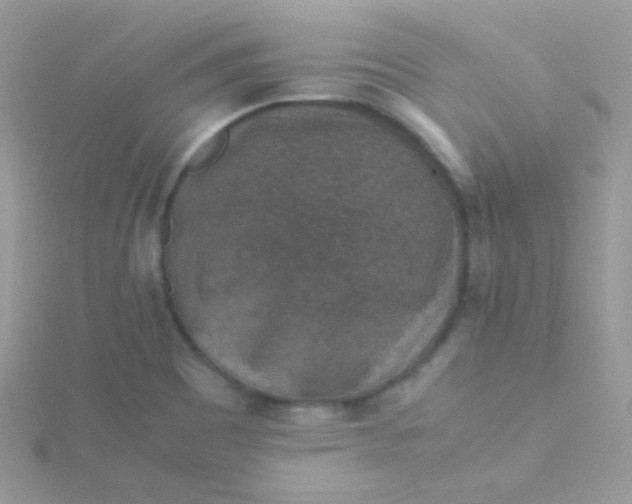 X0000115601465200911241544