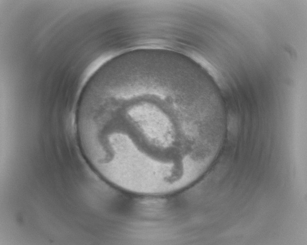 X0000115601466200911241544