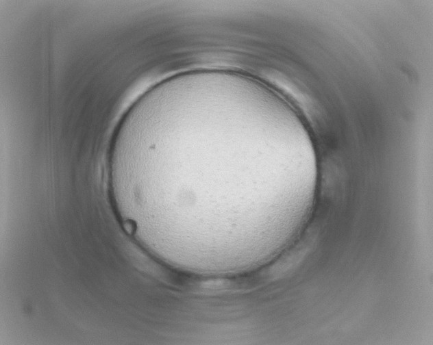 X0000115601467200911241544