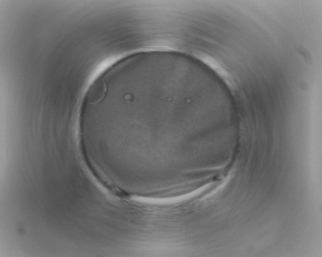 X0000115601469200911241544