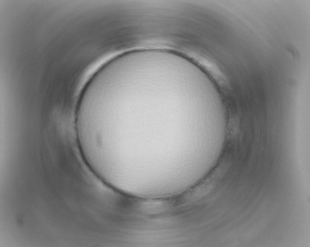 X0000115601470200911241544