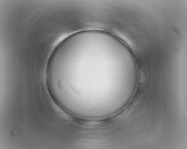 X0000115601471200911241544