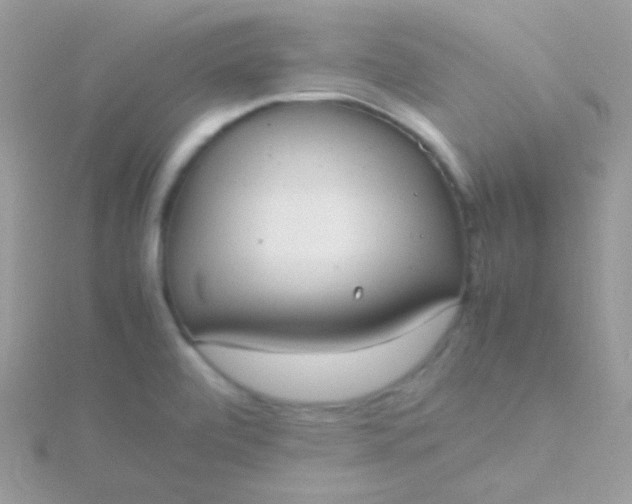 X0000115601472200911241544