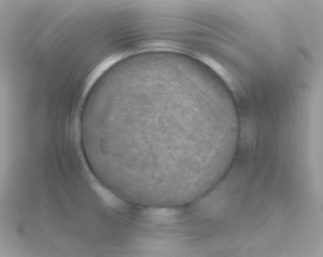 X0000115601474200911241544