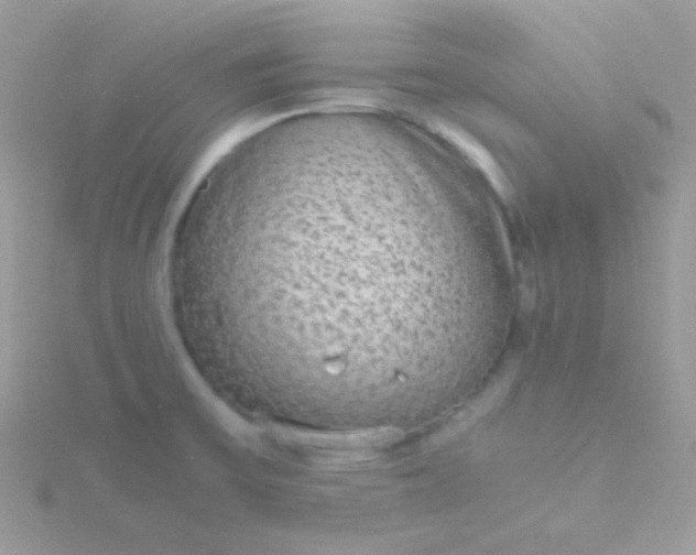 X0000115601475200911241544