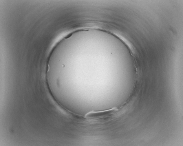 X0000115601477200911241544