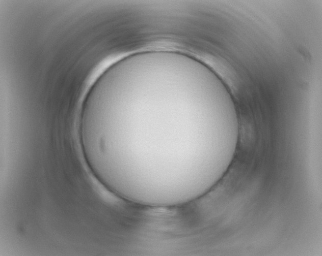 X0000115601478200911241544