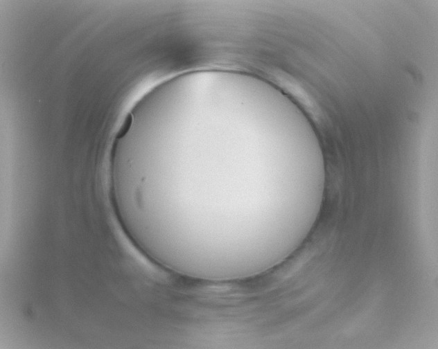 X0000115601479200911241544