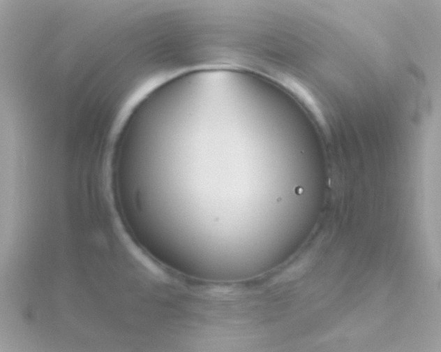 X0000115601480200911241544