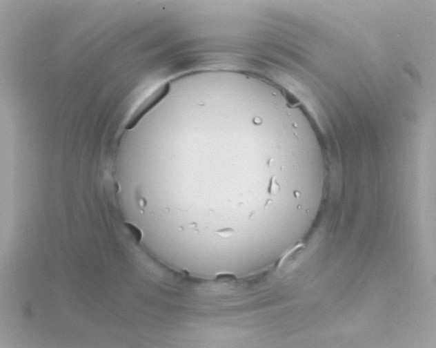 X0000115601481200911241544