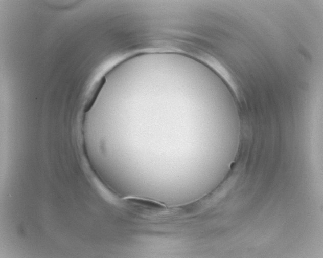 X0000115601485200911241544