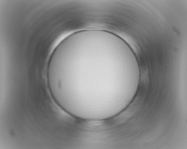 X0000115601486200911241544