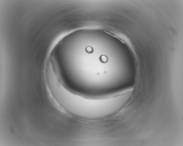 X0000115601488200911241544