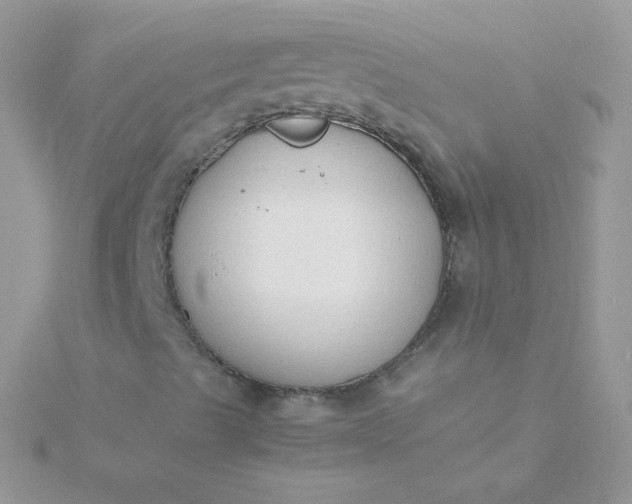 X0000115601489200911241543