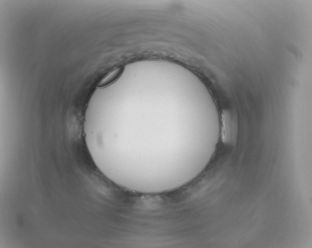 X0000115601491200911241543